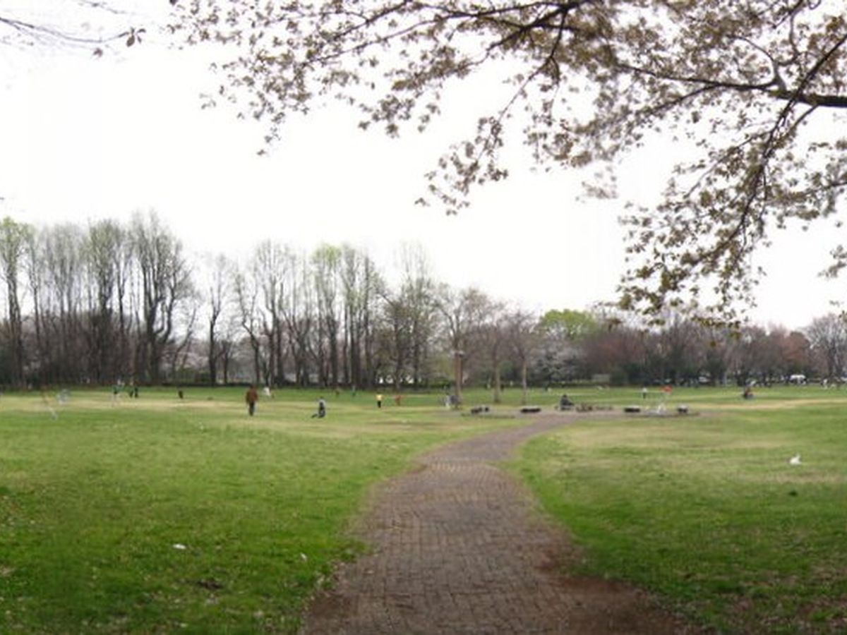 小金井公園の写真