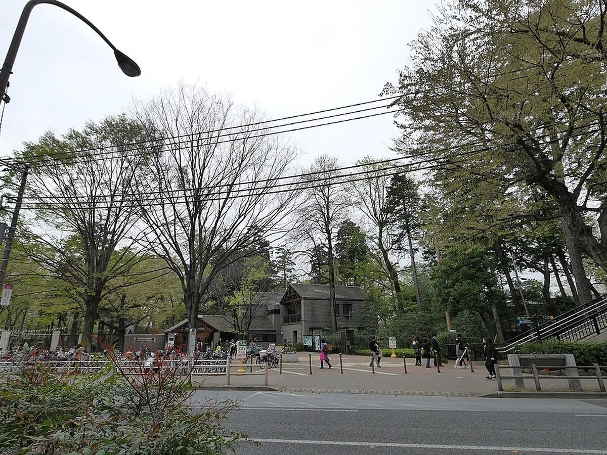 井の頭自然文化園の写真
